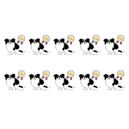 はくたちひろ_チワワ6-1