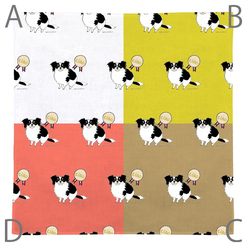 はくたちひろ_チワワ6-1