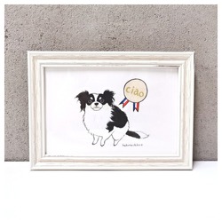 はくたちひろ_チワワ6-1