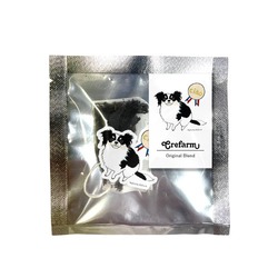 はくたちひろ_チワワ6-1