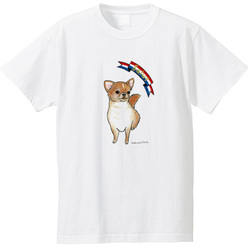 はくたちひろ_チワワ6-2