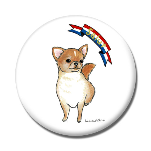 はくたちひろ_チワワ6-2