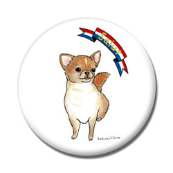 はくたちひろ_チワワ6-2