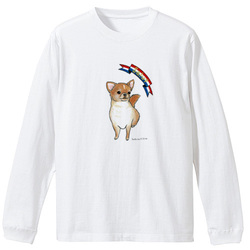 はくたちひろ_チワワ6-2