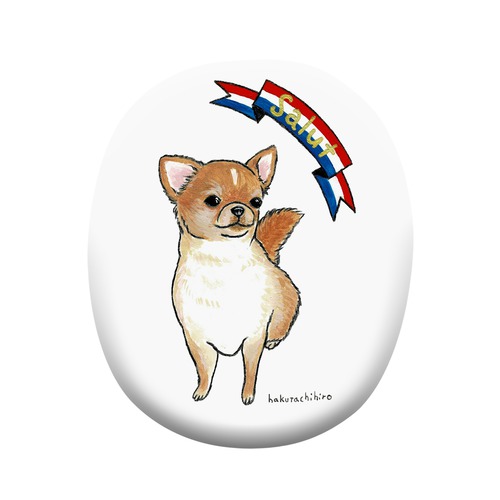 はくたちひろ_チワワ6-2