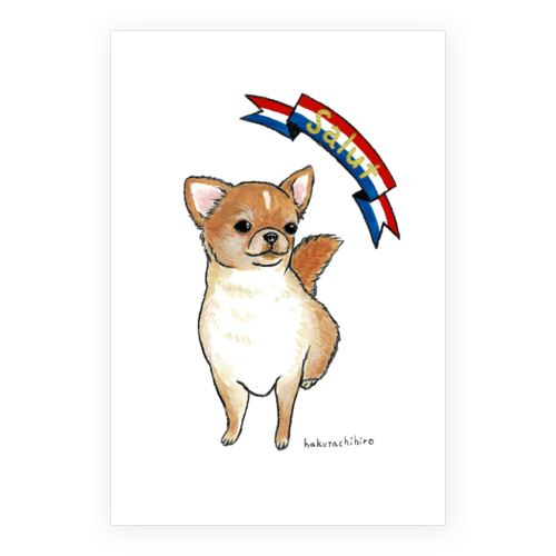 はくたちひろ_チワワ6-2