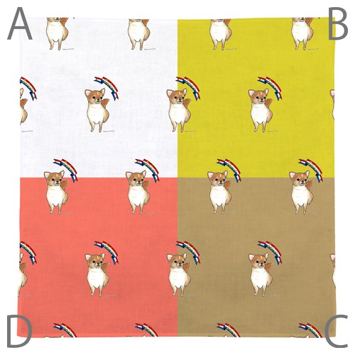 はくたちひろ_チワワ6-2