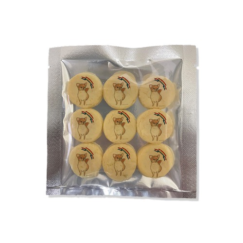 はくたちひろ_チワワ6-2