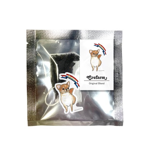 はくたちひろ_チワワ6-2