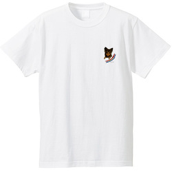 はくたちひろ_チワワ6-3