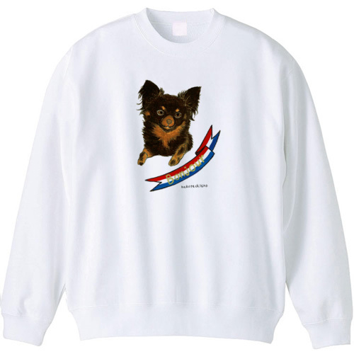 はくたちひろ_チワワ6-3