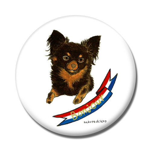 はくたちひろ_チワワ6-3