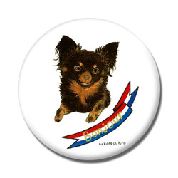 はくたちひろ_チワワ6-3