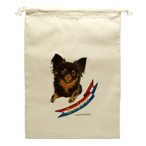 はくたちひろ_チワワ6-3