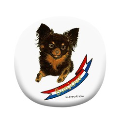 はくたちひろ_チワワ6-3