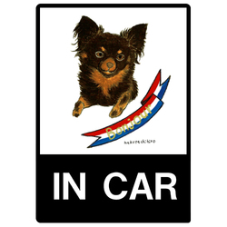 はくたちひろ_チワワ6-3