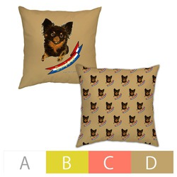 はくたちひろ_チワワ6-3