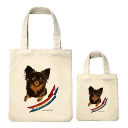 はくたちひろ_チワワ6-3