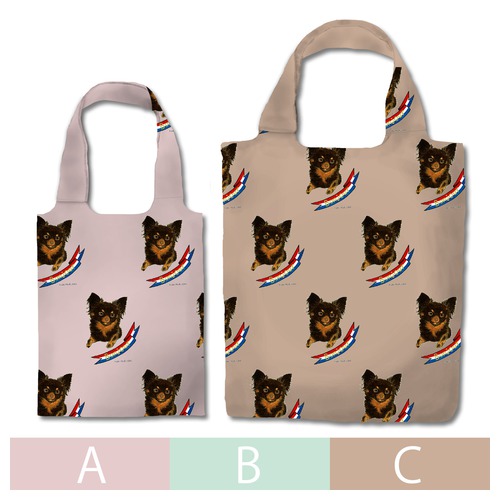 はくたちひろ_チワワ6-3