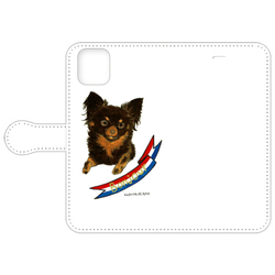 はくたちひろ_チワワ6-3