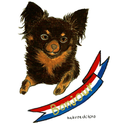 はくたちひろ_チワワ6-3