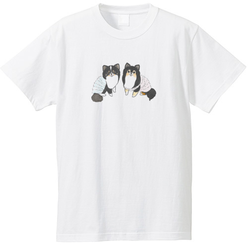 もちこ_チワワ6-1