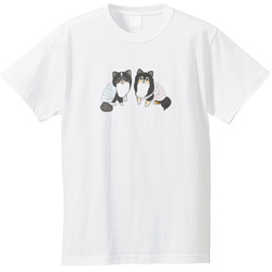 もちこ_チワワ6-1