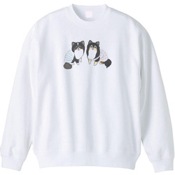 もちこ_チワワ6-1