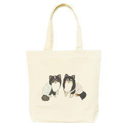 もちこ_チワワ6-1