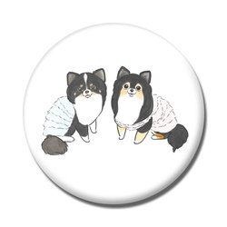 もちこ_チワワ6-1