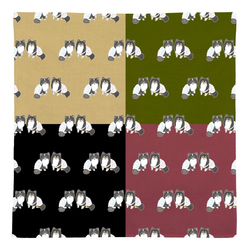 もちこ_チワワ6-1