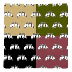 もちこ_チワワ6-1