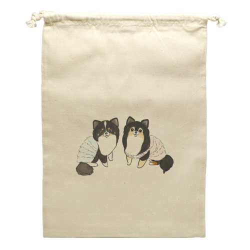 もちこ_チワワ6-1