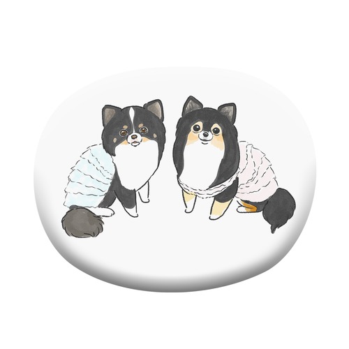 もちこ_チワワ6-1