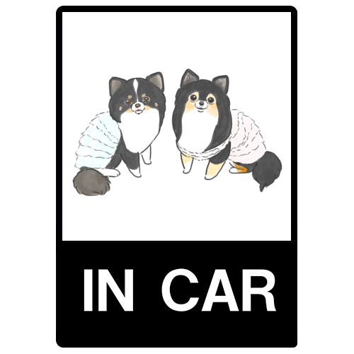 もちこ_チワワ6-1