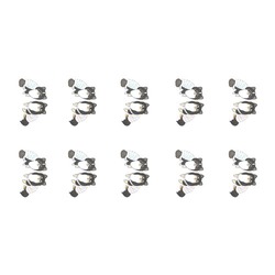 もちこ_チワワ6-1