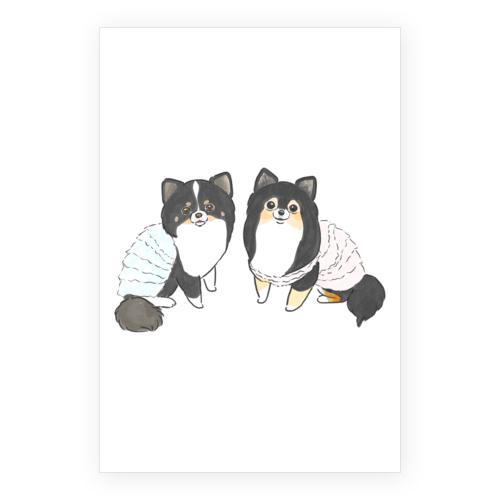 もちこ_チワワ6-1