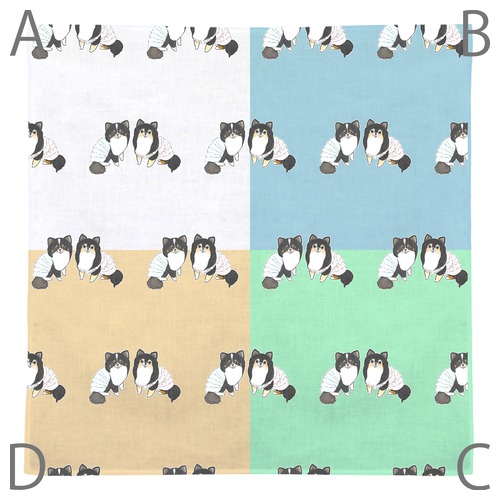 もちこ_チワワ6-1