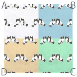 もちこ_チワワ6-1