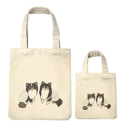 もちこ_チワワ6-1