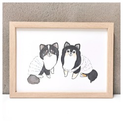 もちこ_チワワ6-1