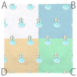 もちこ_チワワ6-2