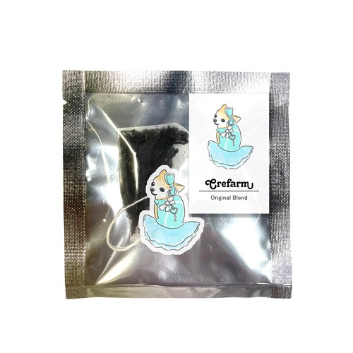 もちこ_チワワ6-2