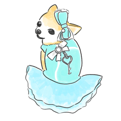 もちこ_チワワ6-2