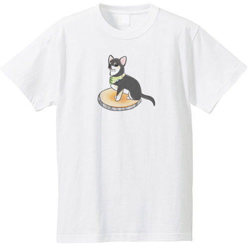 もちこ_チワワ6-3