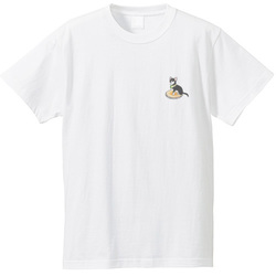 もちこ_チワワ6-3