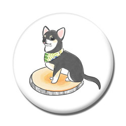 もちこ_チワワ6-3