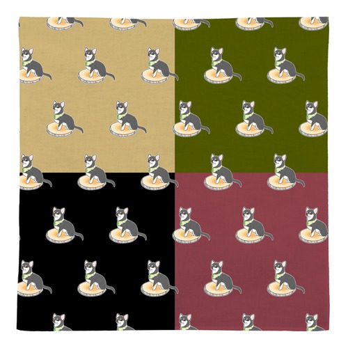 もちこ_チワワ6-3