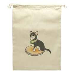 もちこ_チワワ6-3