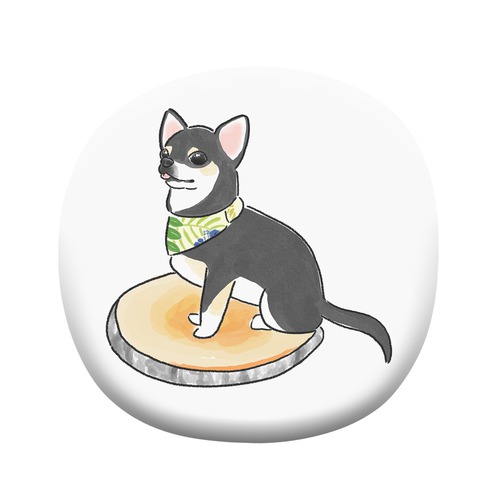 もちこ_チワワ6-3